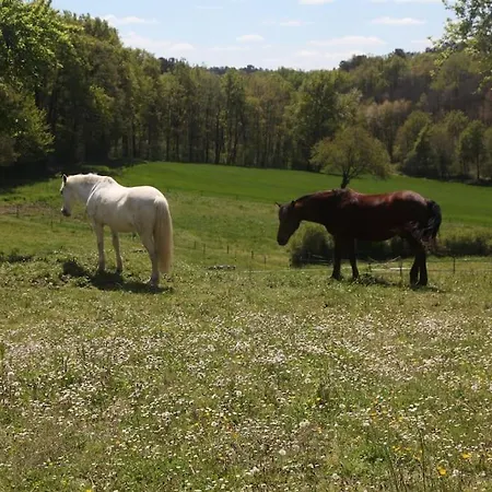 Serenite A La Ferme Equestre Hébergement de vacances *