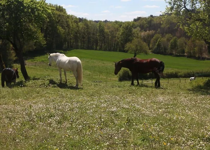 Serenite A La Ferme Equestre 別荘 *