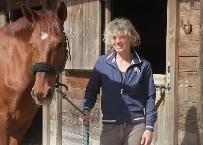 別荘 Serenite A La Ferme Equestre Lempzours