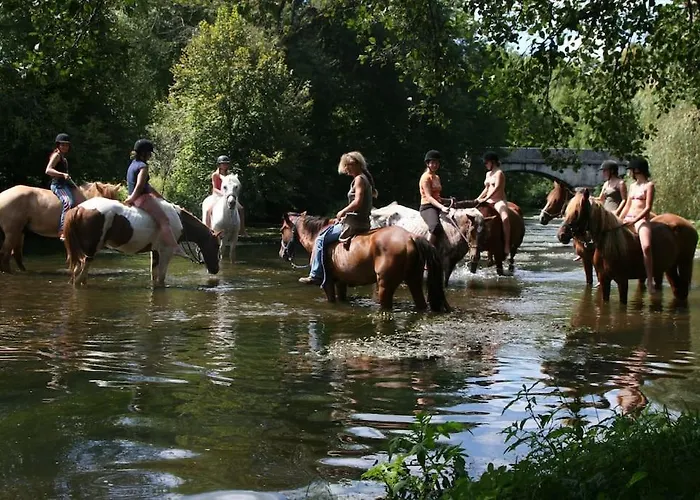 Serenite A La Ferme Equestre 別荘 *